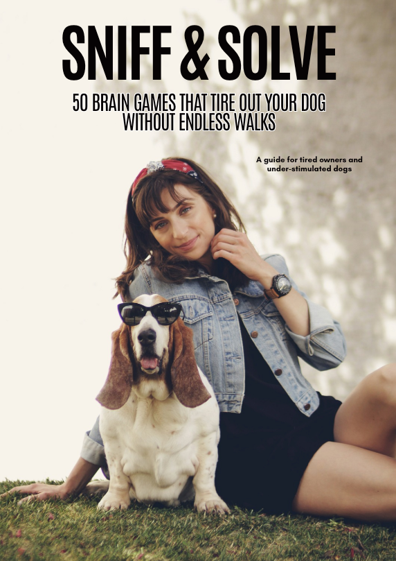 SNIFF & SOLVE